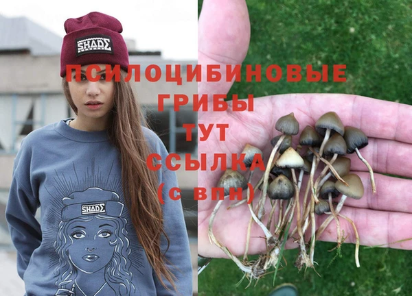 MDMA Premium VHQ Абаза