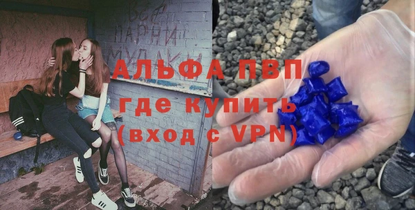 стафф Алексин