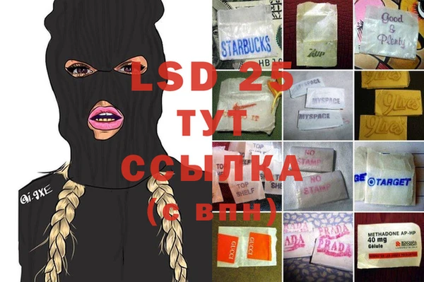 гидропоника Новозыбков