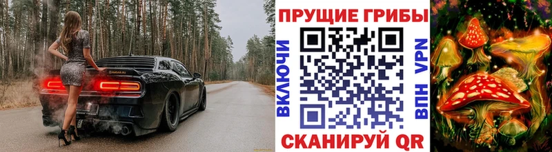 наркотики Княгинино Псилоцибиновые грибы мицелий